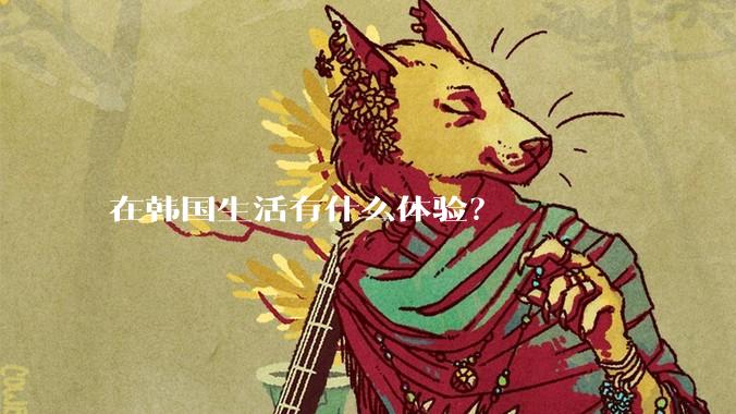 在韩国生活有什么体验？