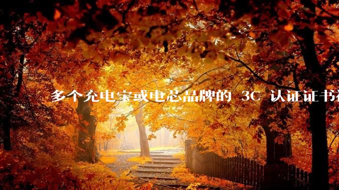 多个充电宝或电芯品牌的 3C 认证证书被暂停，涉及罗马仕、安克、绿联、倍思、安普瑞斯等，发生了什么？
